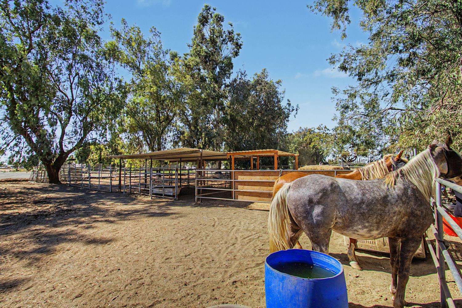 1180 Sunset Road Brentwood, CA 94513 - Photo 28 of 72 Horse space