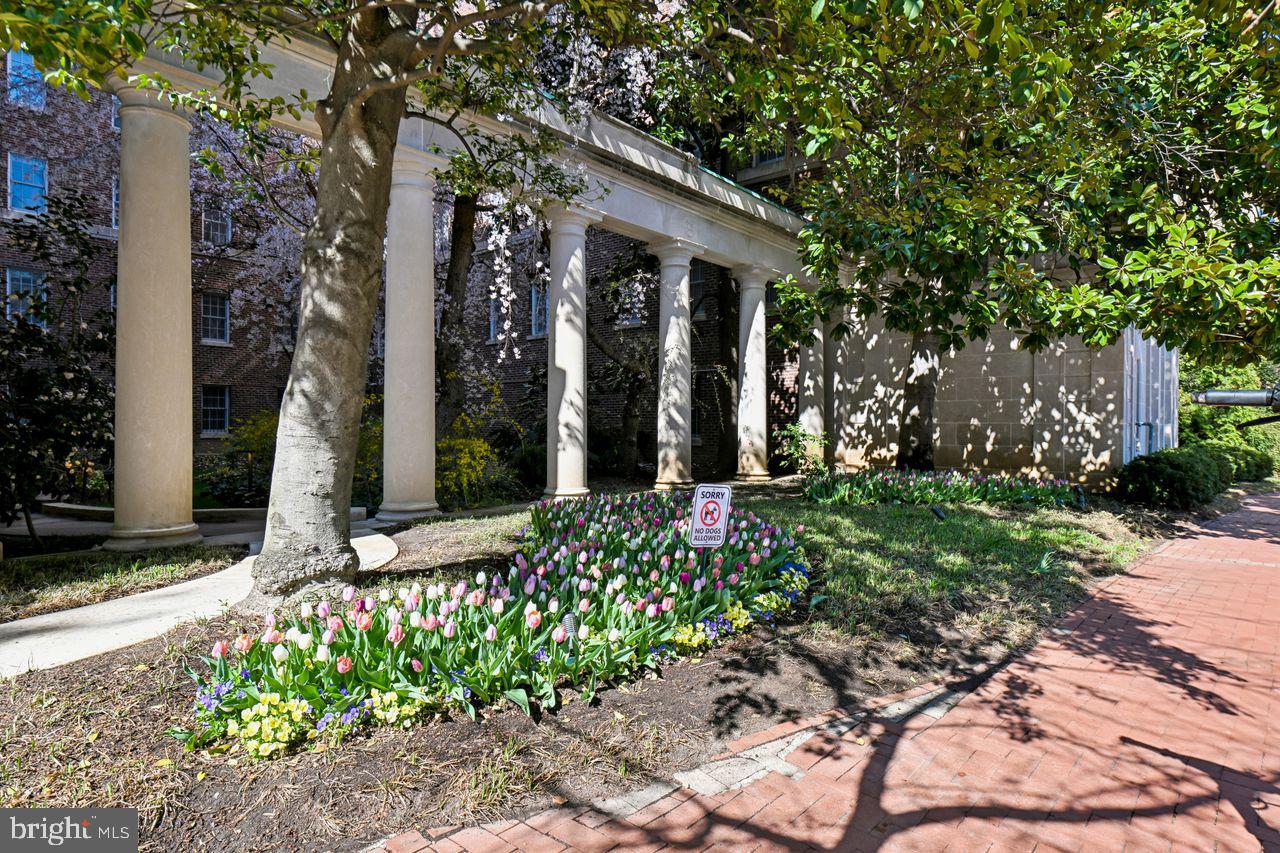 1661 Crescent Place Northwest, Unit 502 Washington, DC 20009 - Photo 44 of 50 a front view of a house with garden