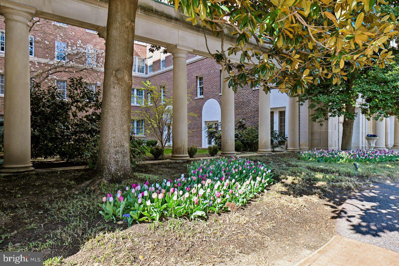 1661 Crescent Place Northwest, Unit 502 Washington, DC 20009 - Photo 45 of 50 a front view of a house with brick walls and a flower garden