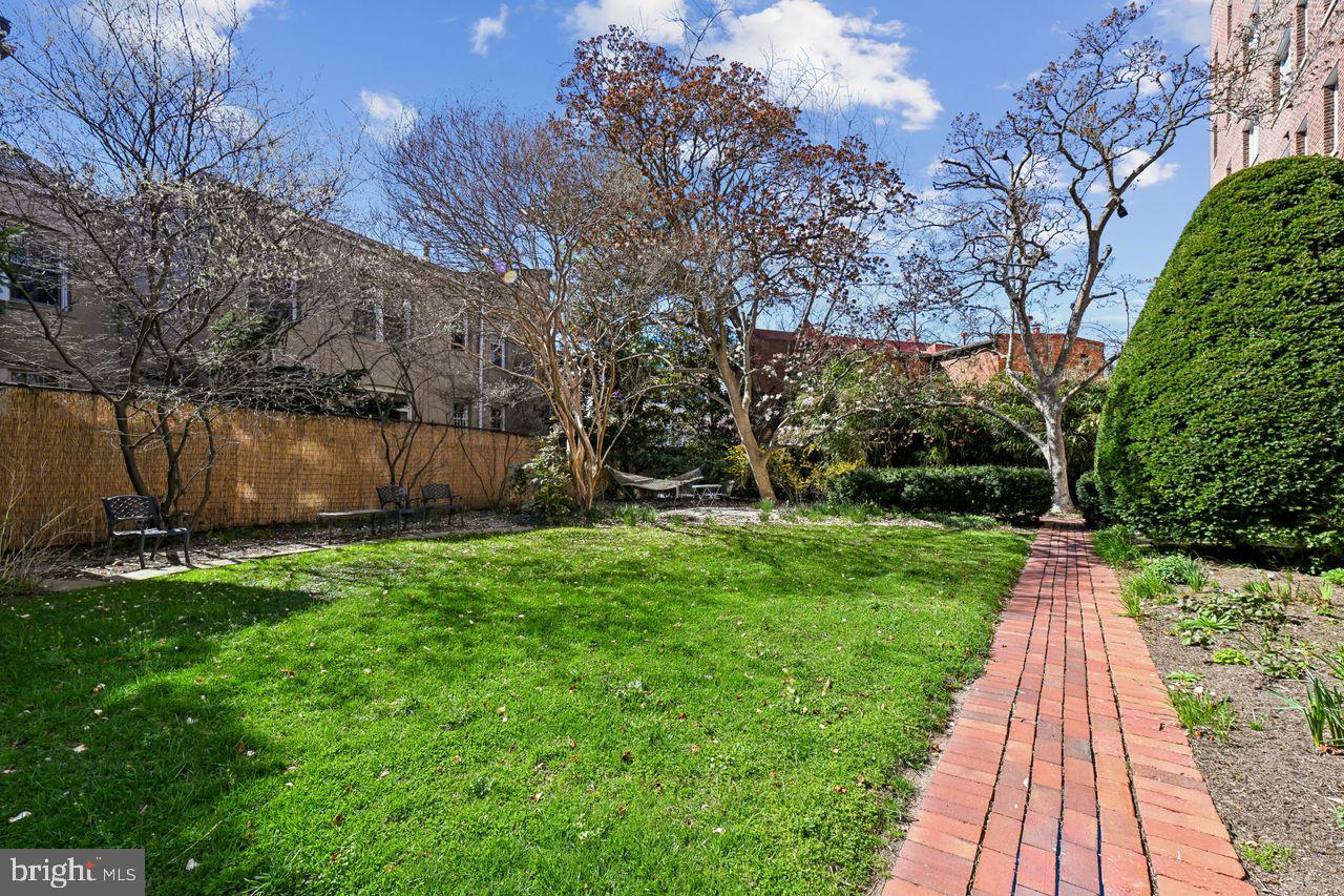 1661 Crescent Place Northwest, Unit 502 Washington, DC 20009 - Photo 46 of 50 a view of park with large trees