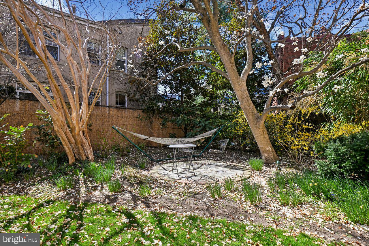 1661 Crescent Place Northwest, Unit 502 Washington, DC 20009 - Photo 47 of 50 a backyard of a house with lots of green space