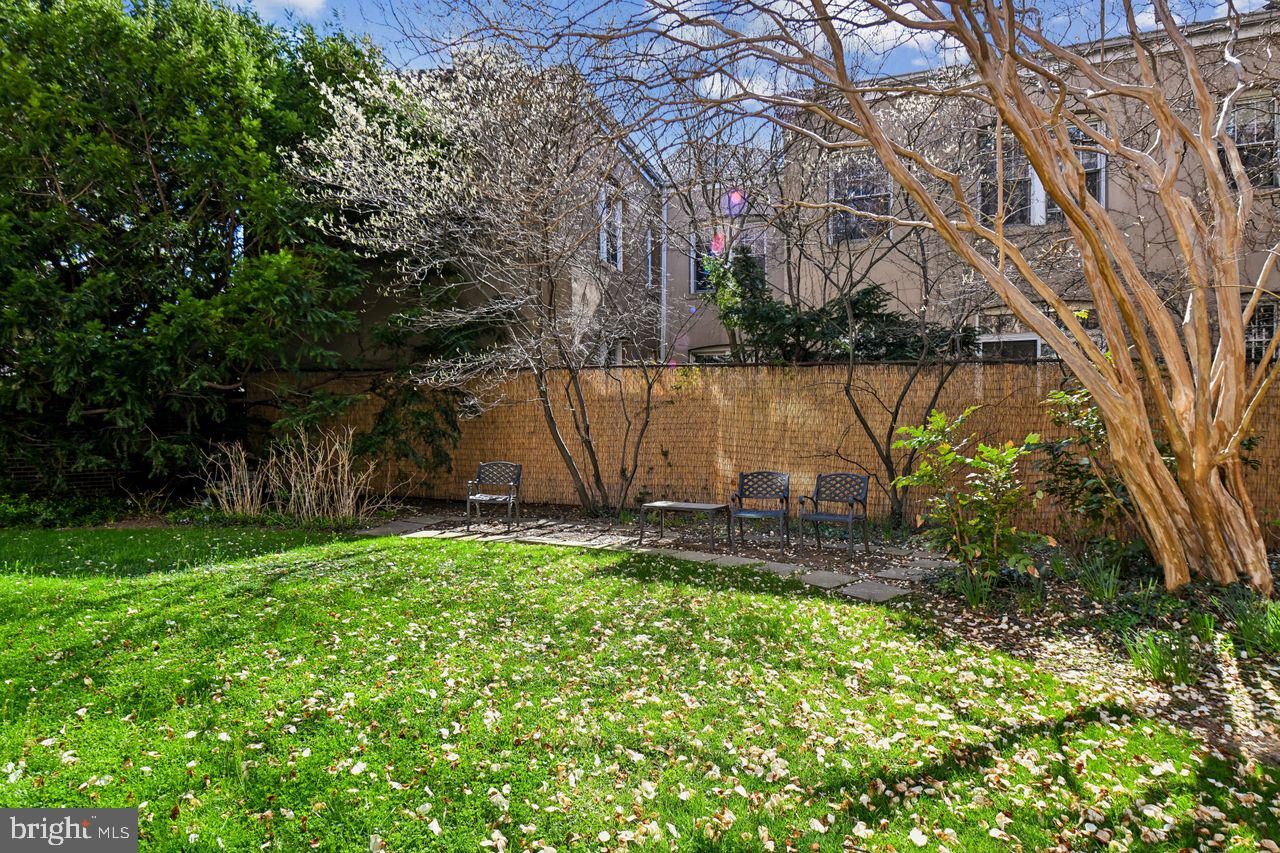 1661 Crescent Place Northwest, Unit 502 Washington, DC 20009 - Photo 48 of 50 a backyard of a house with lots of green space