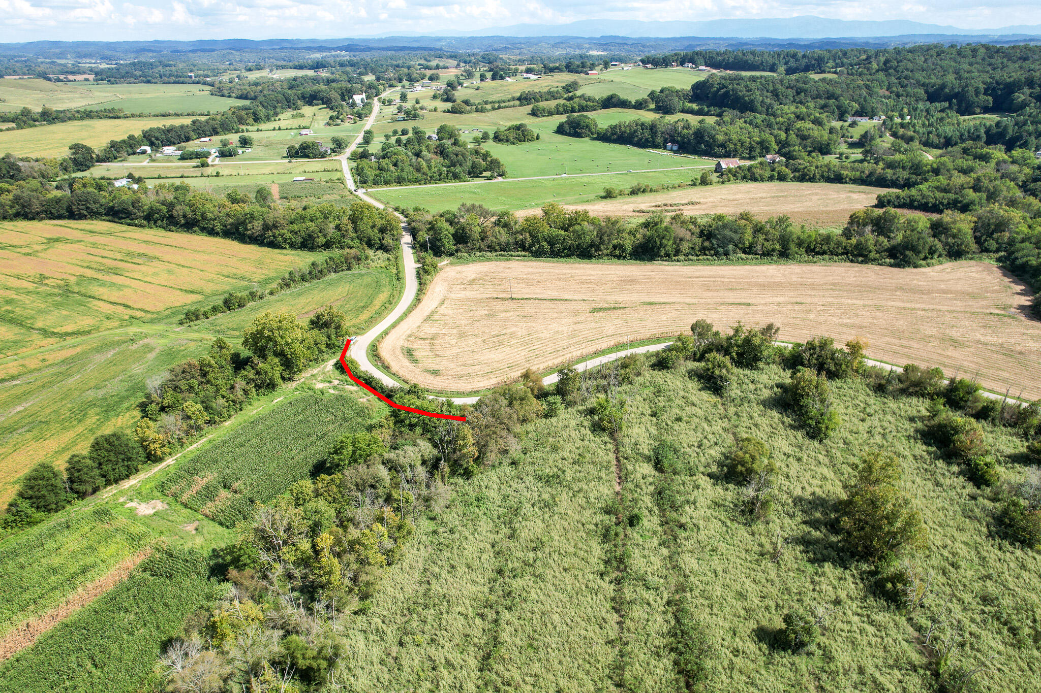 99.5-ac Marvin Road Mosheim, TN 37818 - Photo 4 of 18 3