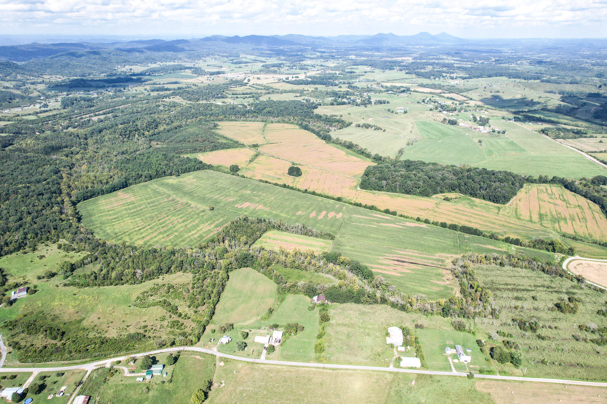 99.5-ac Marvin Road Mosheim, TN 37818 - Photo 5 of 18 4