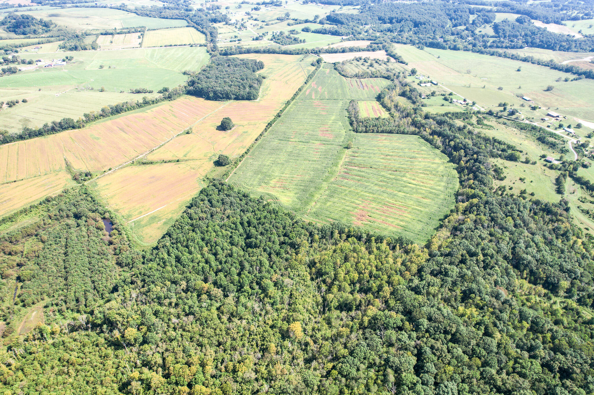 99.5-ac Marvin Road Mosheim, TN 37818 - Photo 8 of 18 7