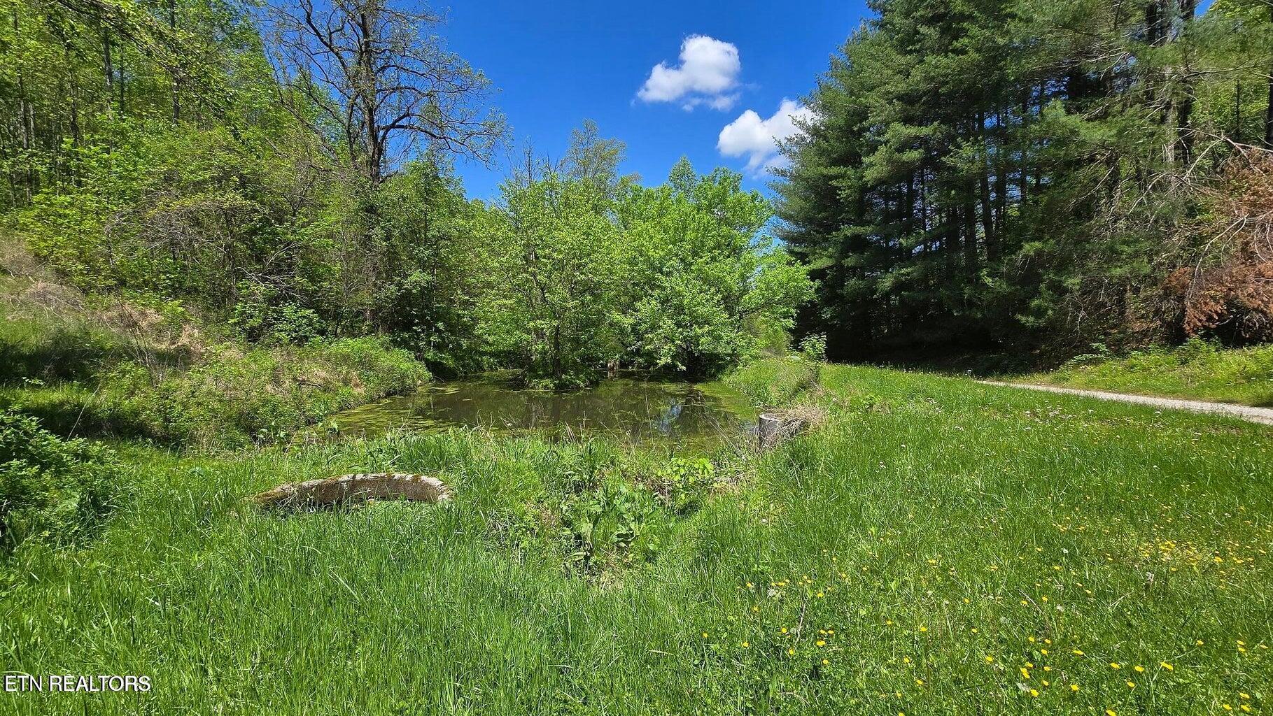3 Dooley Hollow Road Ewing, VA 24248 - Photo 6 of 9 Dooley Photo 6