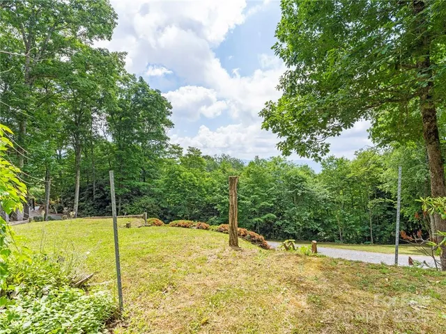 a view of a park with plants and a trees