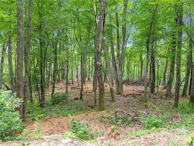 a view of outdoor space with trees