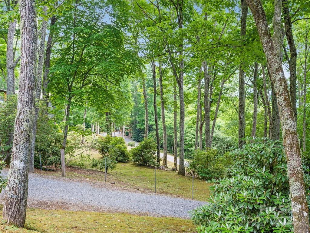 167 Bold Springs Road Sylva, NC 28779 - Photo 35 of 37