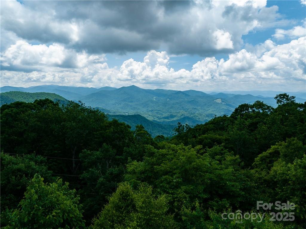 167 Bold Springs Road Sylva, NC 28779 - Photo 4 of 37