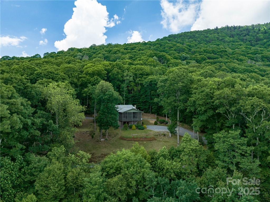 167 Bold Springs Road Sylva, NC 28779 - Photo 8 of 37
