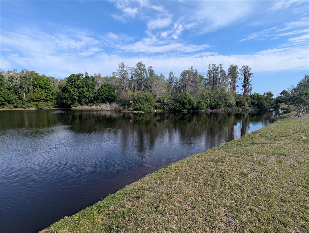 1250 Halapa Way Trinity, FL 34655 - Photo 54 of 55 Gallery Image 54