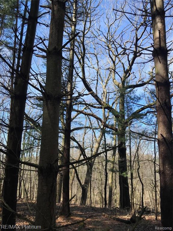 20 Ac V/l Eager/curdy Road Howell, MI 48855 - Photo 6 of 10