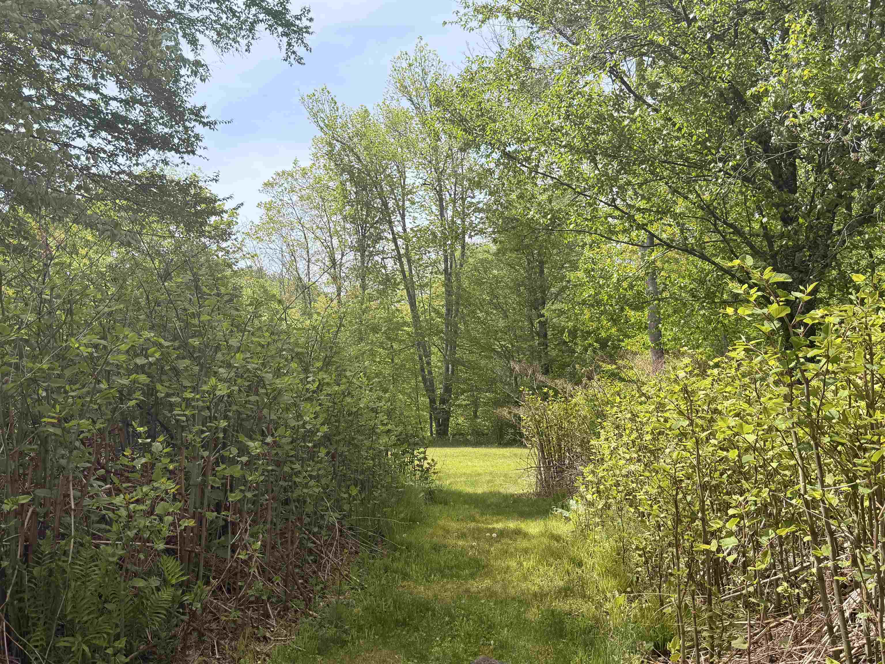 250 Fenton Road Chester, VT 05143 - Photo 18 of 29
