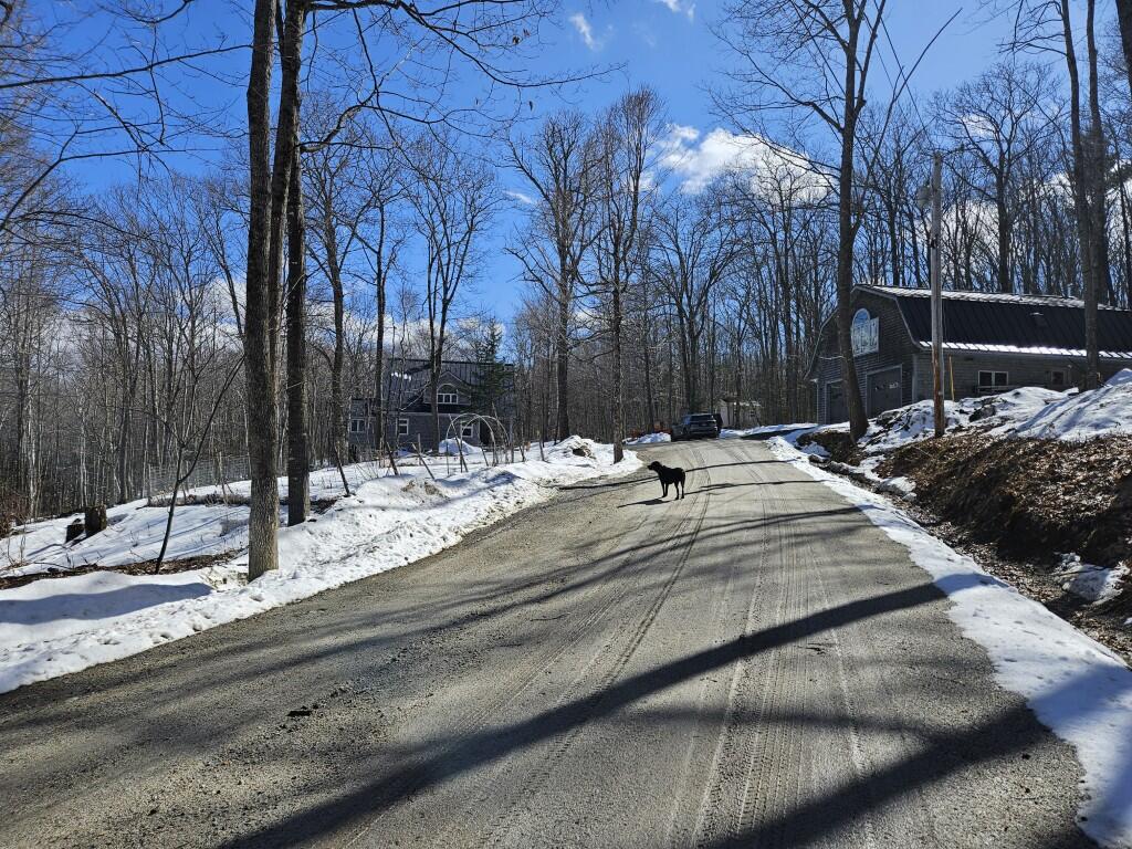 262 Mitchell Brook Road Temple, ME 04984 - Photo 64 of 65 Driveway with garage and house in dist