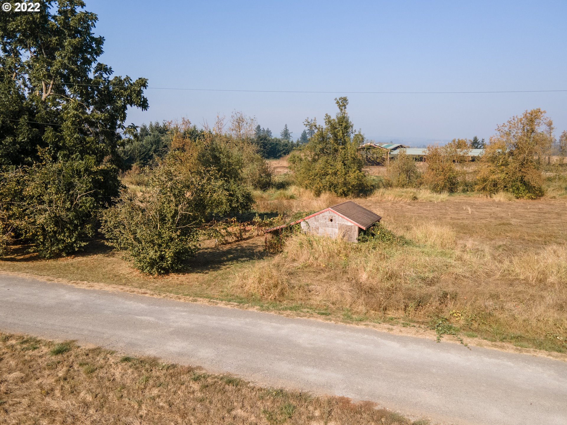 22902 Schultz Road Northeast Aurora, OR 97002 - Photo 8 of 20 a view of a yard with a tree