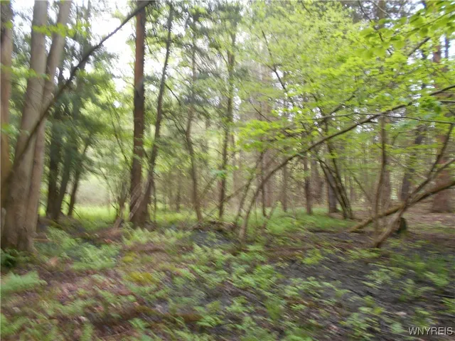 $54,900 | Trevett Road, Springville, NY 14141