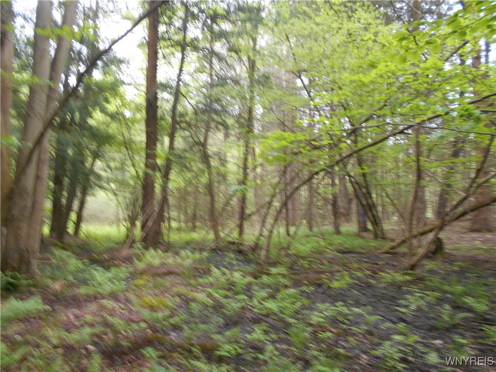 Trevett Road Springville, NY 14141 - Photo 11 of 14