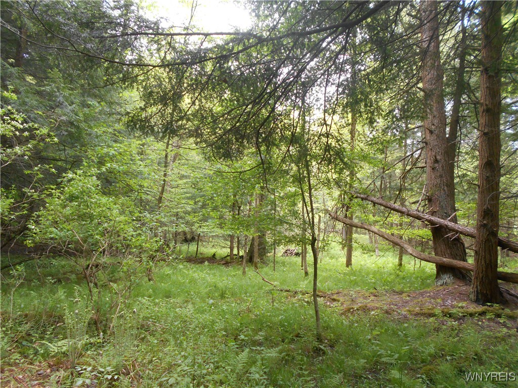 Trevett Road Springville, NY 14141 - Photo 12 of 14