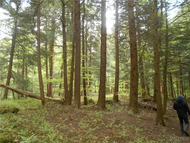 $54,900 | Trevett Road, Springville, NY 14141