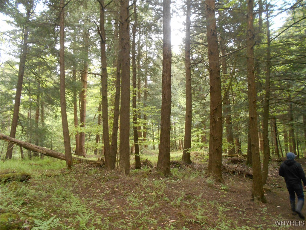 Trevett Road Springville, NY 14141 - Photo 13 of 14