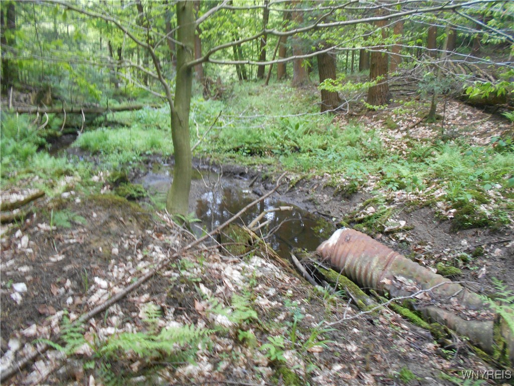 Trevett Road Springville, NY 14141 - Photo 14 of 14