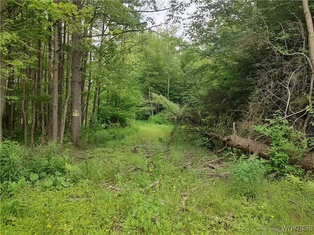 $54,900 | Trevett Road, Springville, NY 14141