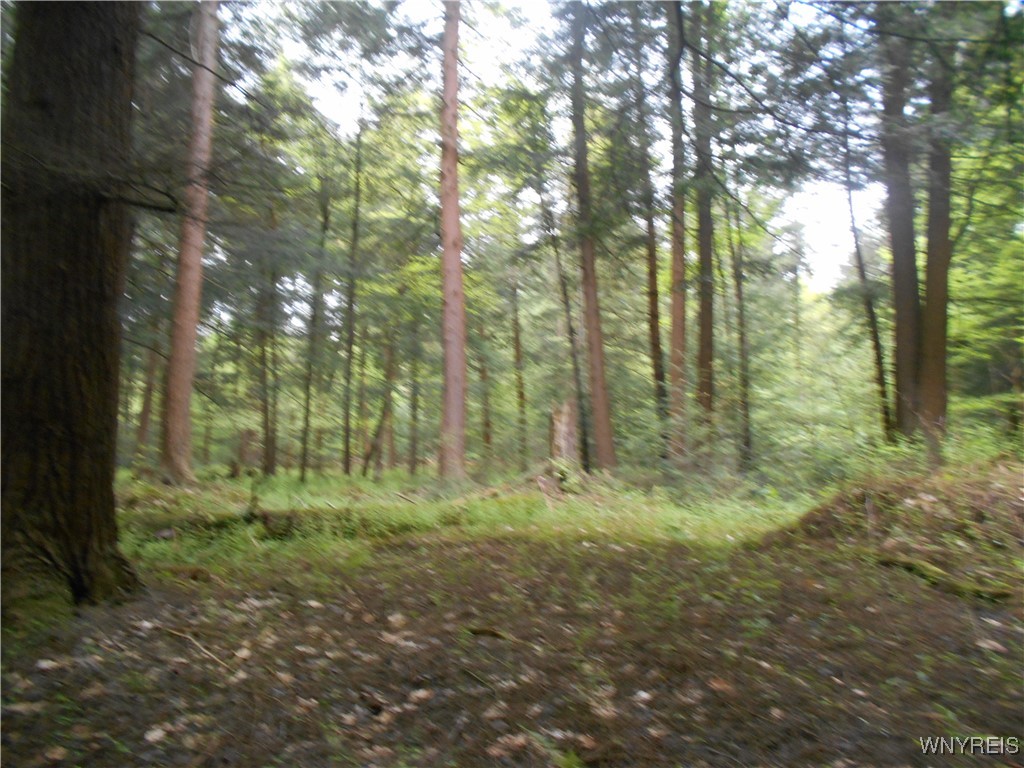 Trevett Road Springville, NY 14141 - Photo 3 of 14