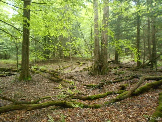 $54,900 | Trevett Road, Springville, NY 14141