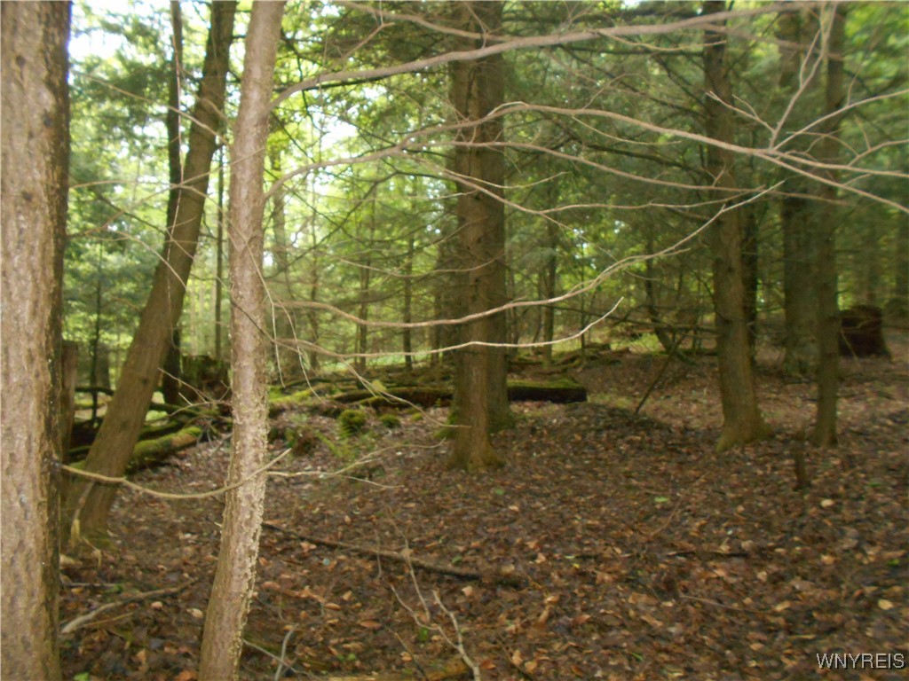 Trevett Road Springville, NY 14141 - Photo 5 of 14