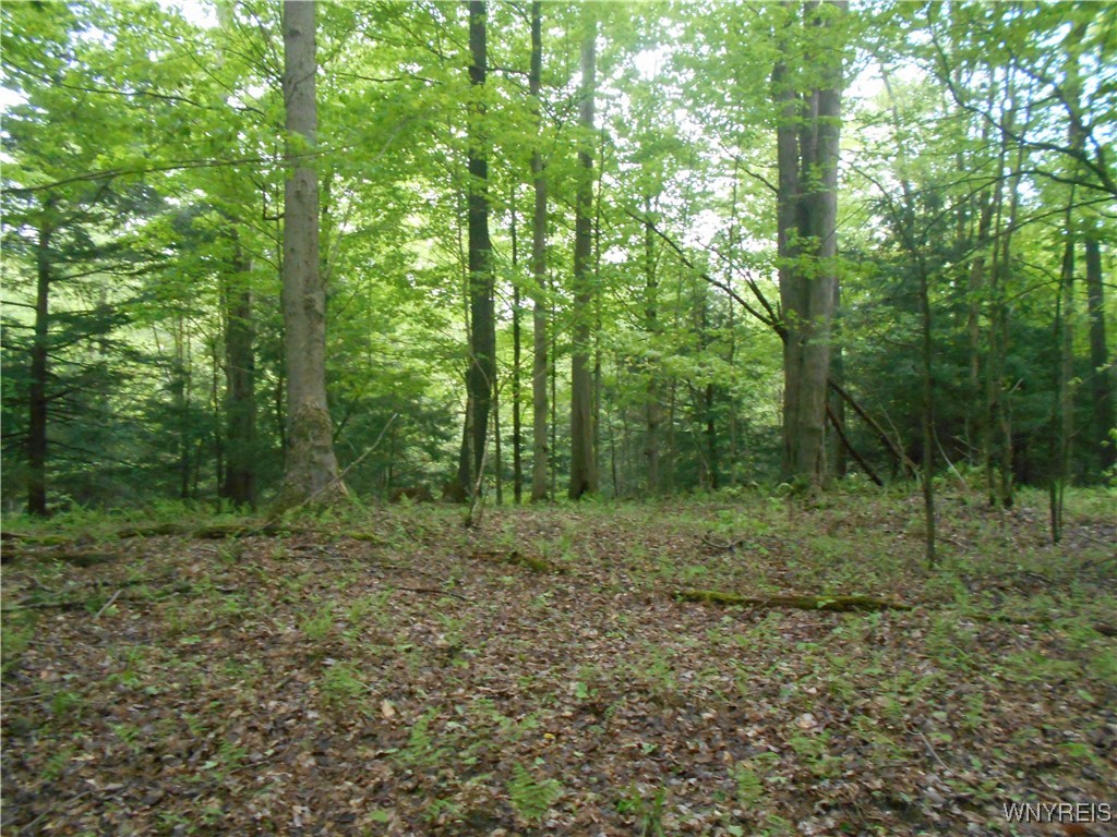 Trevett Road Springville, NY 14141 - Photo 6 of 14