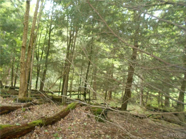 $54,900 | Trevett Road, Springville, NY 14141