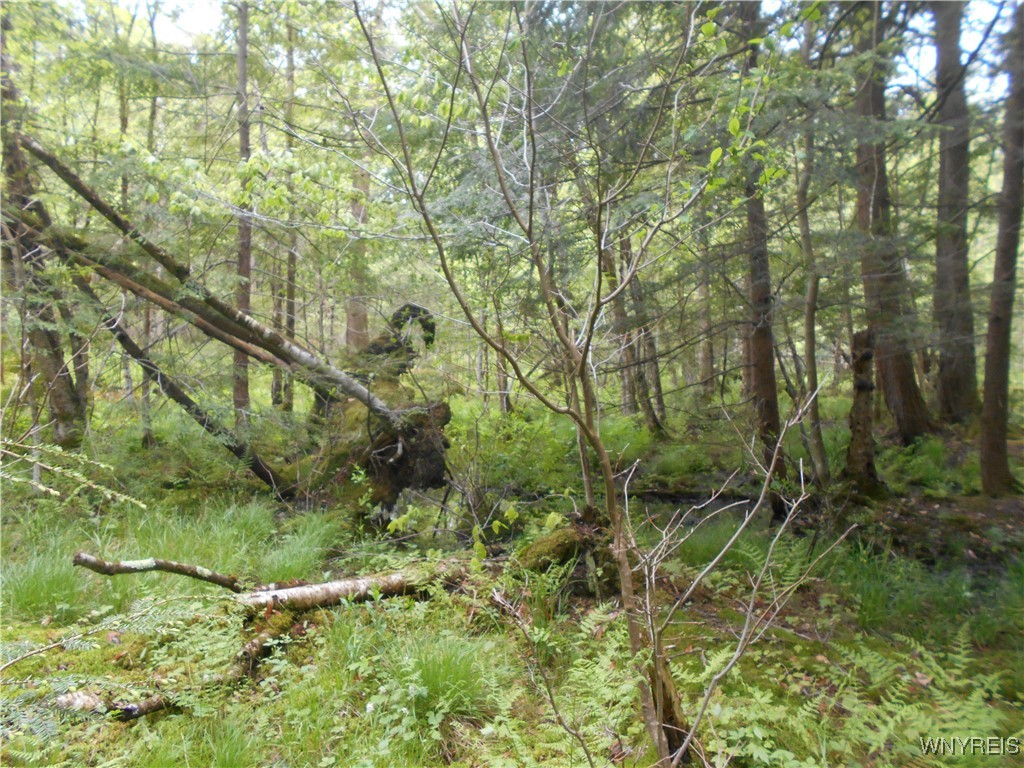 Trevett Road Springville, NY 14141 - Photo 8 of 14