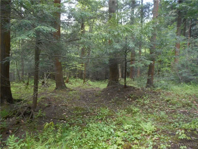 $54,900 | Trevett Road, Springville, NY 14141