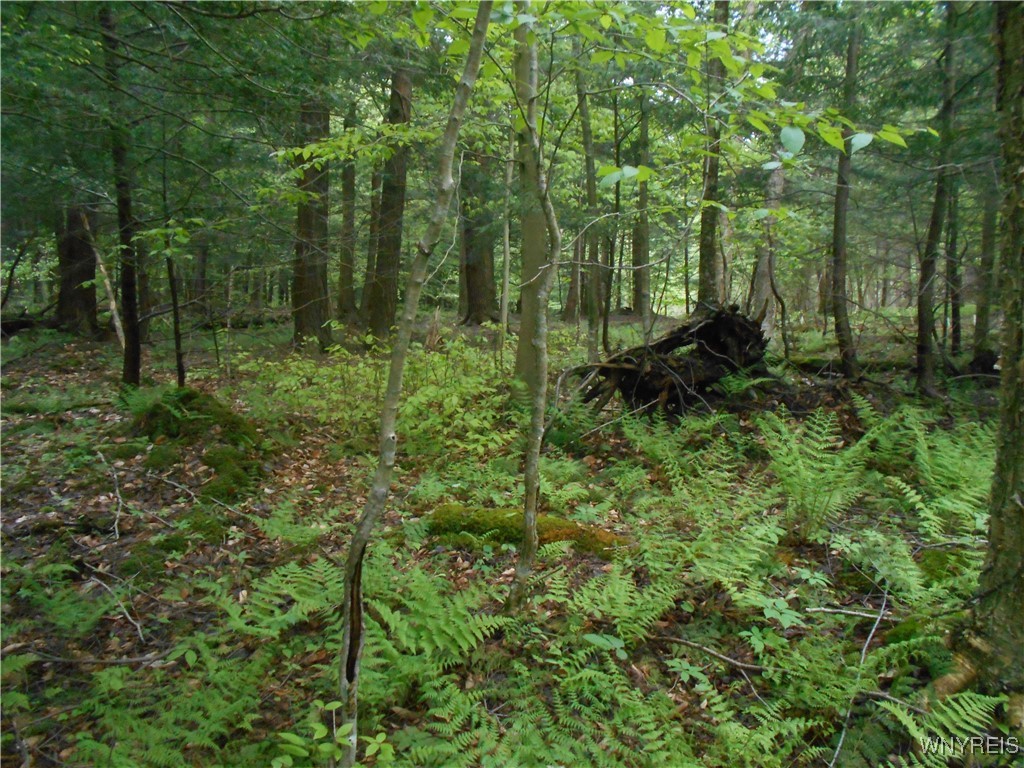 Trevett Road Springville, NY 14141 - Photo 10 of 14