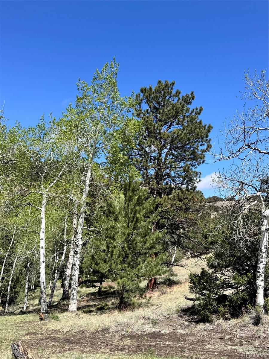 Dilley Road Westcliffe, CO 81252 - Photo 9 of 16