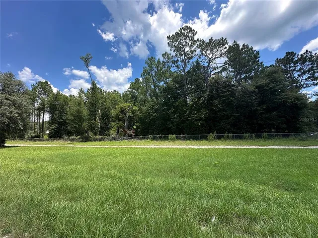 a view of a field of grass and trees