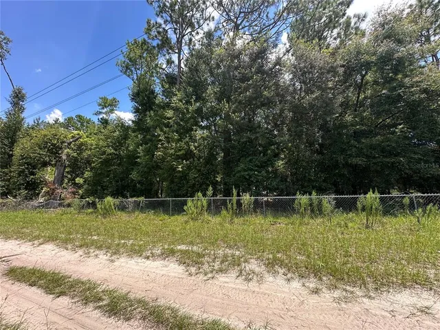 a view of a park with large trees