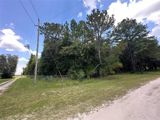 a view of a field with a tree in the background