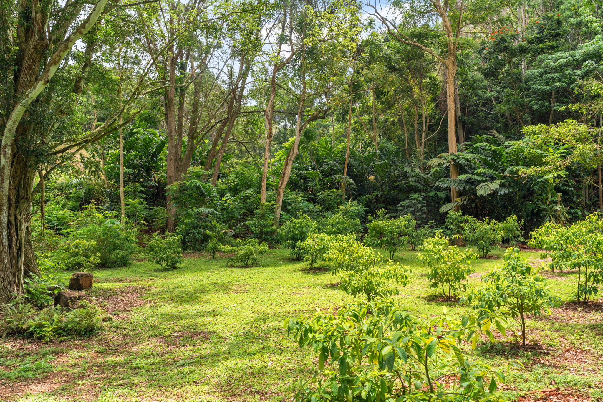 83 B Hauiki Road Kapaa, HI 96746 - Photo 20 of 30