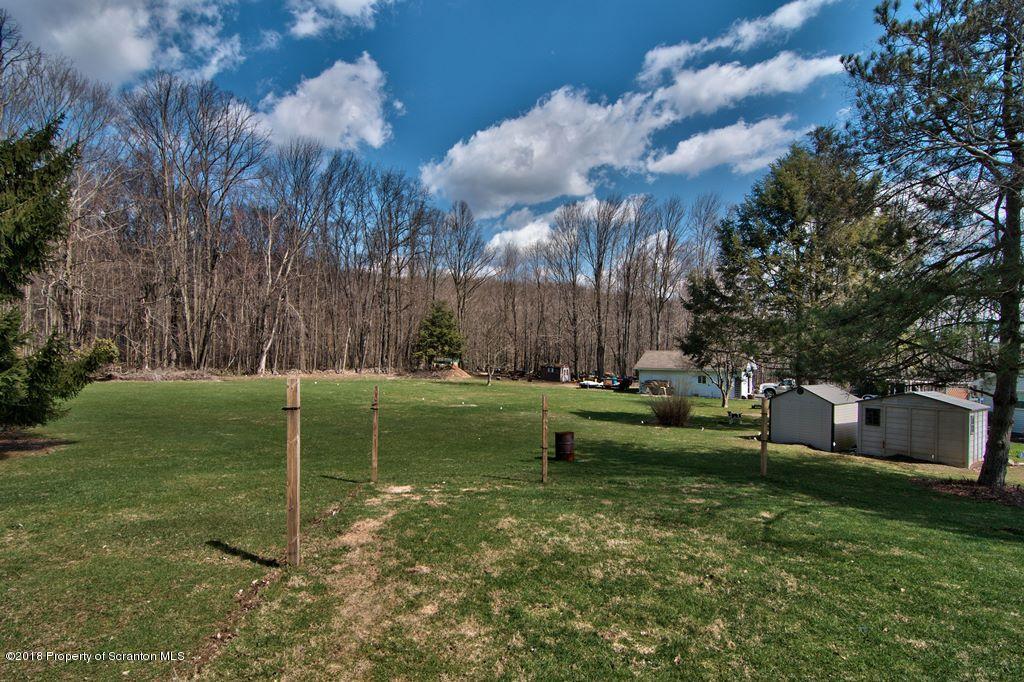 3585 Hornbaker Cemetary Road Moscow, PA 18444 - Photo 11 of 46 a view of a garden with large trees