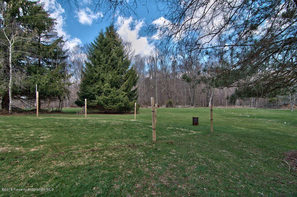 3585 Hornbaker Cemetary Road Moscow, PA 18444 - Photo 45 of 46 a view of a park with large trees