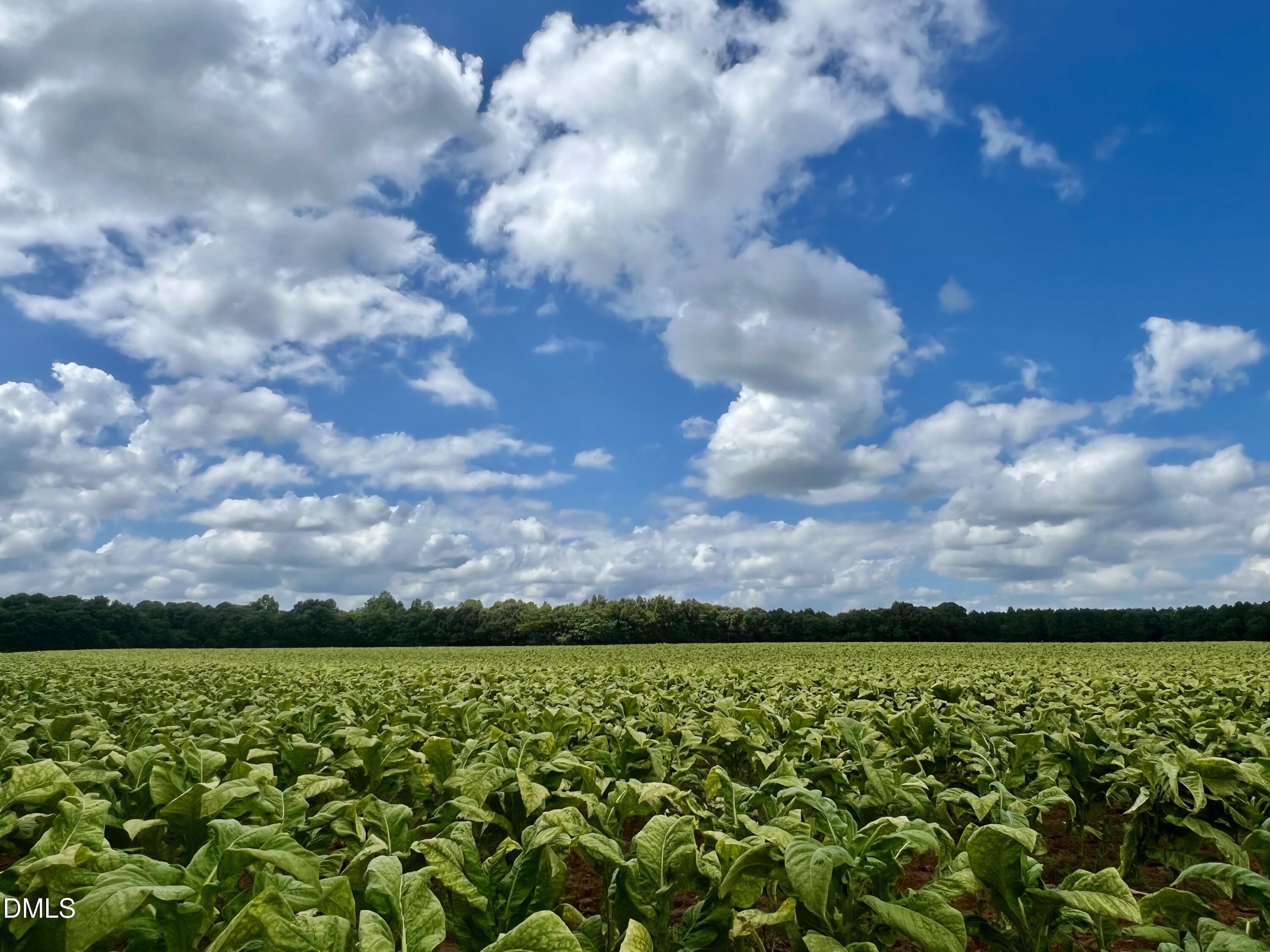 4009 Fletcher Road Bailey, NC 27807 - Photo 38 of 38 IMG_0029