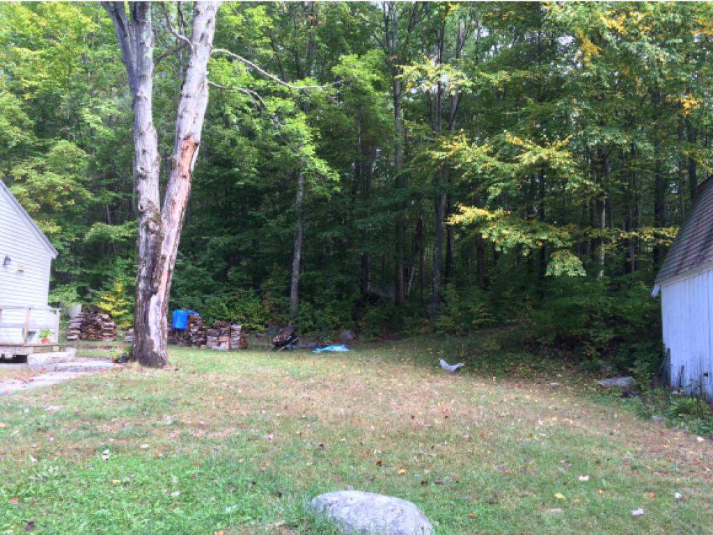 231 Trotting Track Road Wolfeboro, NH 03894 - Photo 3 of 6