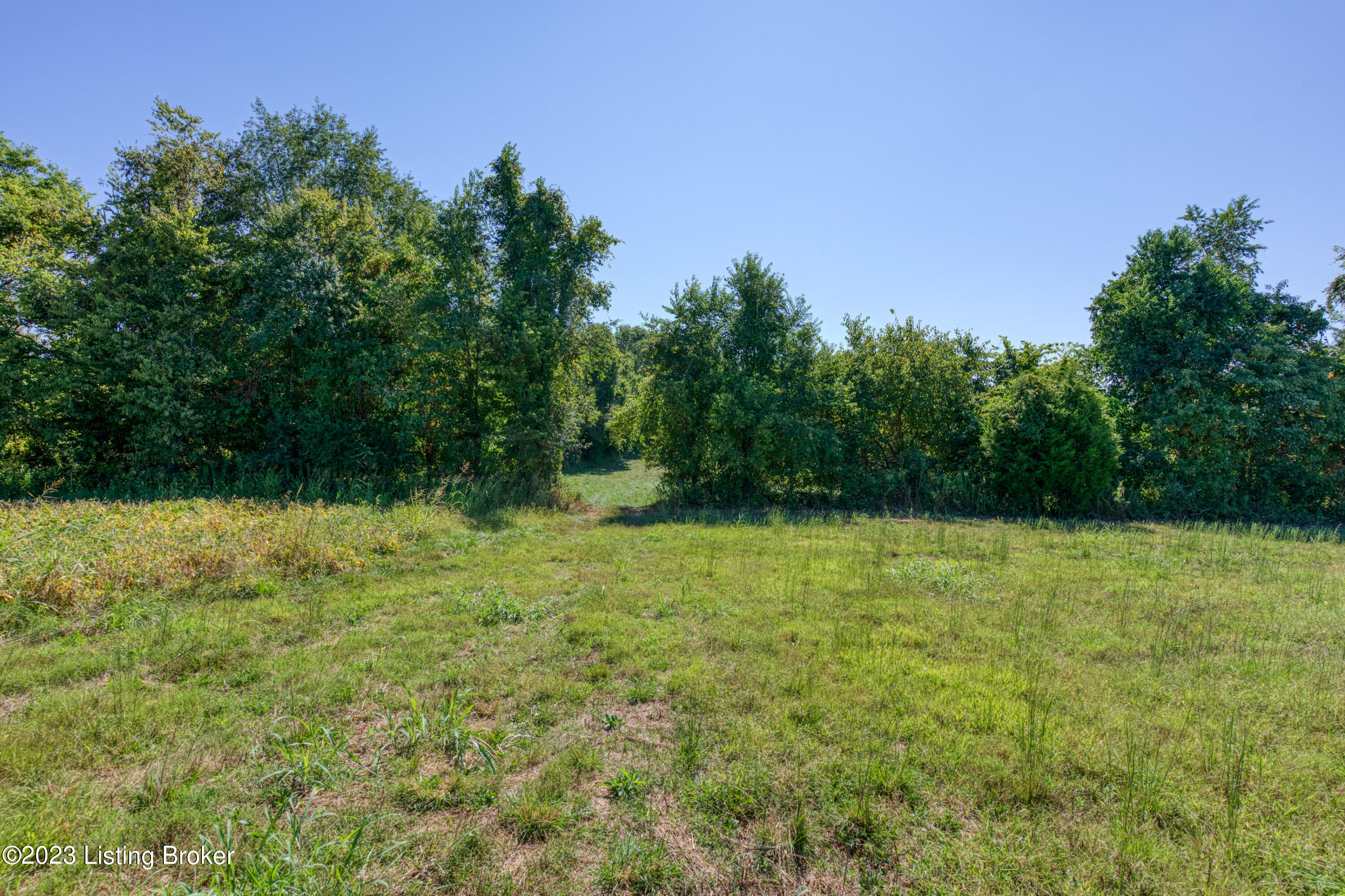 6460 Old Zaring Road Buckner, KY 40010 - Photo 5 of 11 010 - 20230913 05130