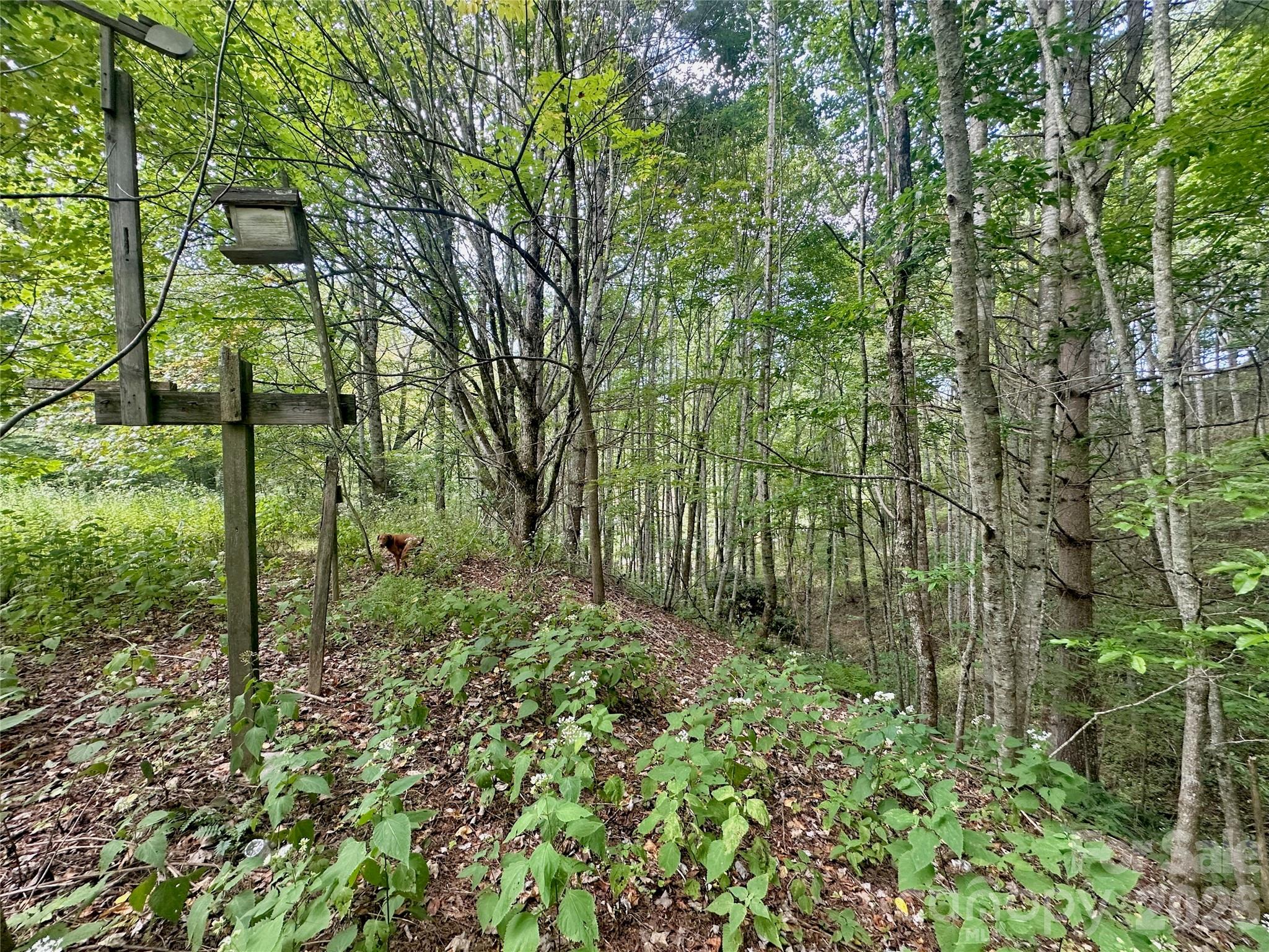Tbd Old Anderson Quarry Road Vilas, NC 28692 - Photo 21 of 21