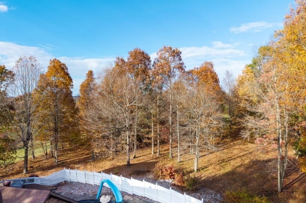 580 Gamaliel Road Red Boiling Springs, TN 37150 - Photo 13 of 47