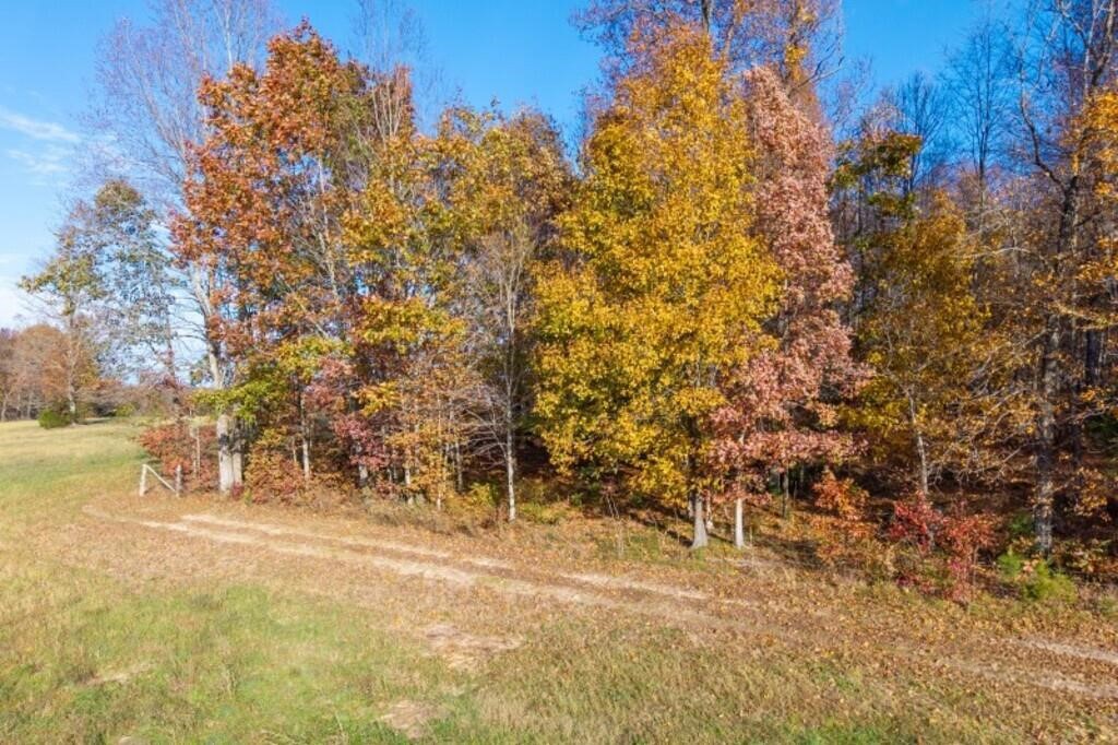 580 Gamaliel Road Red Boiling Springs, TN 37150 - Photo 14 of 47