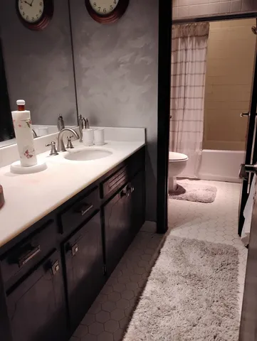 a bathroom with a sink a toilet and a mirror