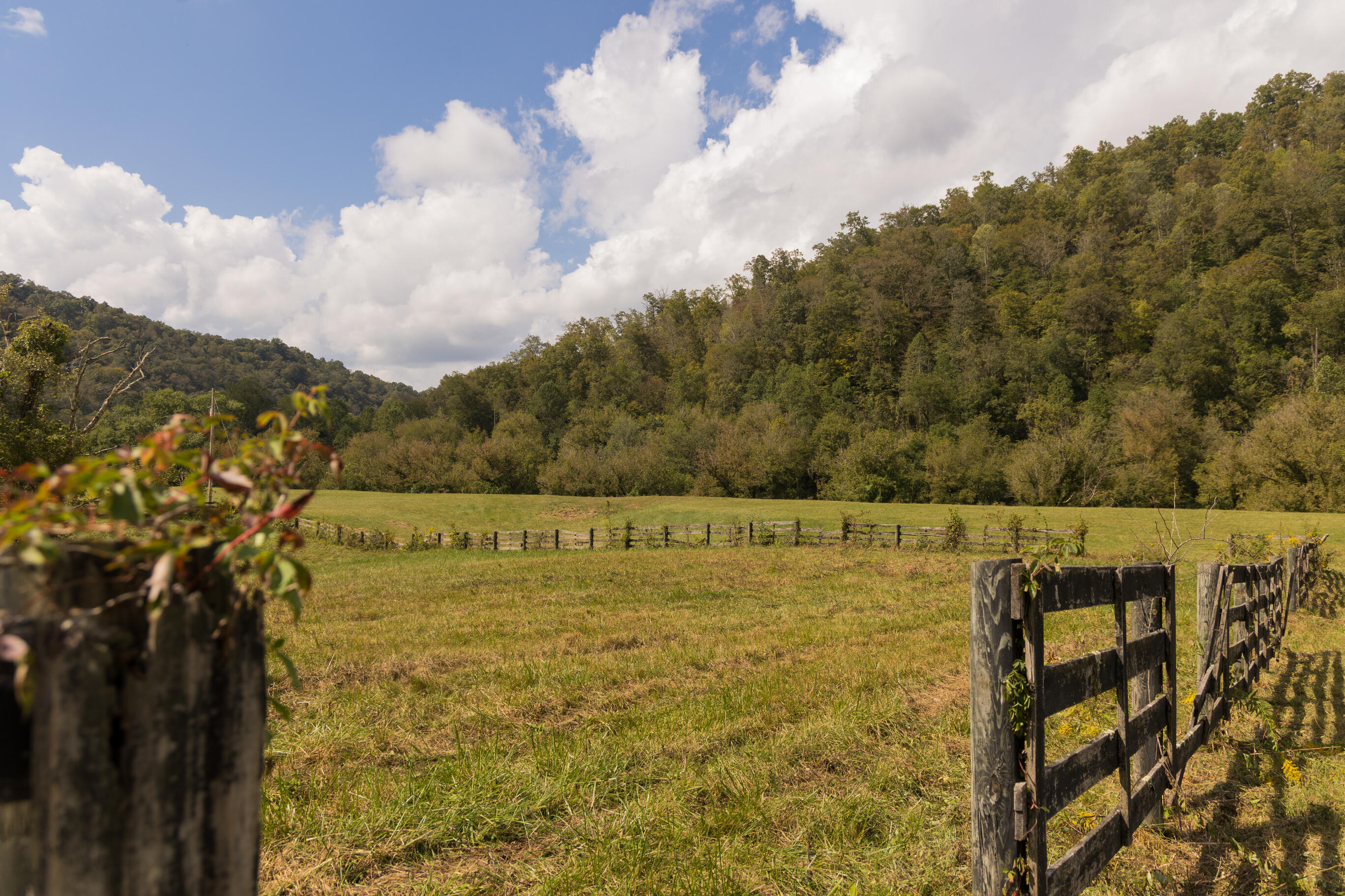 251 Everett Byrd Road Ricetown, KY 41364 - Photo 51 of 54 FO7A9297